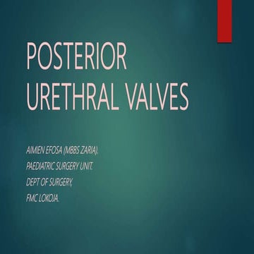 Posterior Urethral Valves