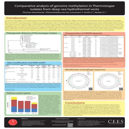 Comparative analysis of genome methylation in Thermotogae isolates from deep-sea hydrothermal vents