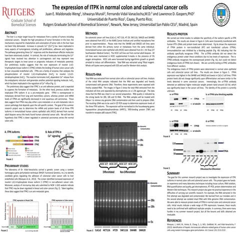 The expression of ITPK in normal colon and colorectal cancer cells - Poster