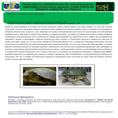 Poster Tartaruga do amazonas