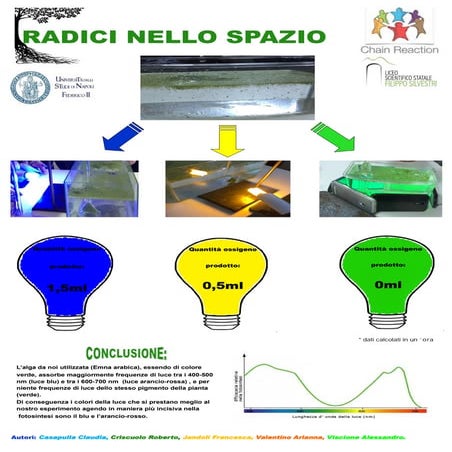 RADICI NELLO SPAZIO