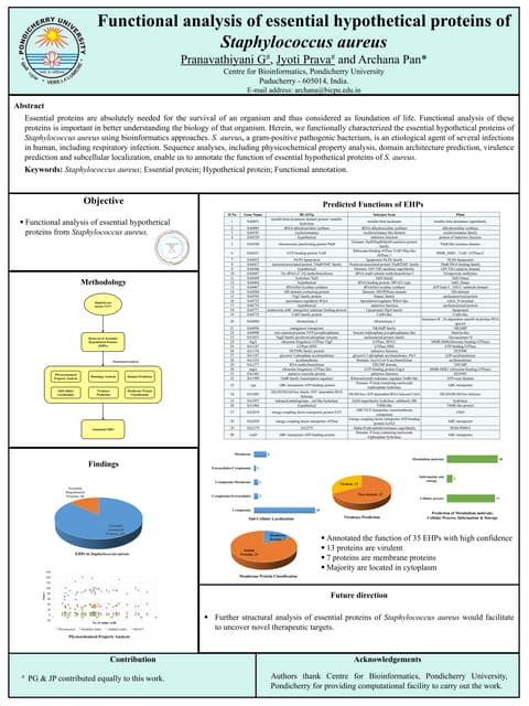 Poster: Functional analysis of essential hypothetical proteins of Staphylococcus aureus