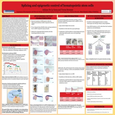 Scientific posters