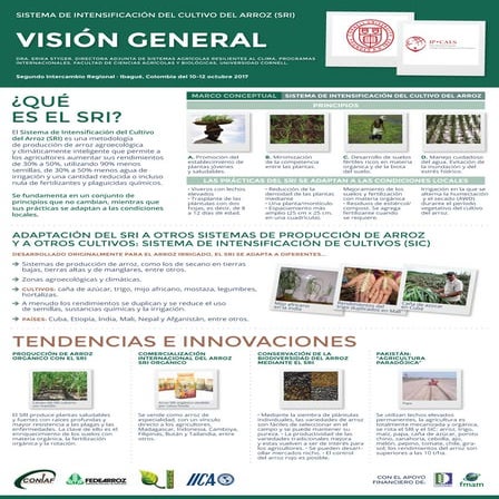 Poster: Avances cons SRI en las Américas - Vision general