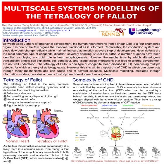 Multiscale Systems Modelling of the Tetralogy of Fallot, Summers, 32nd IEEE-EMBC
