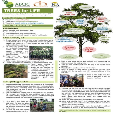 How to Plant a Tree | PPTX