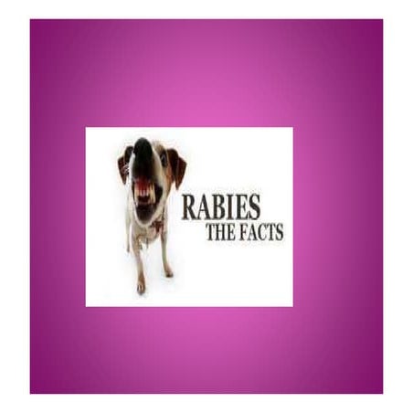 RABIES POST EXPOSURE PROPHYLAXIS MANAGEMENT GUIDELINES visual data 3