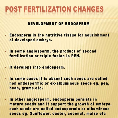 Post fertilization changes