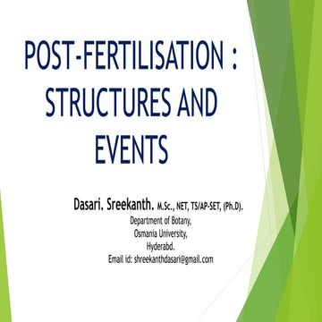 Post fertilization structures in plants.