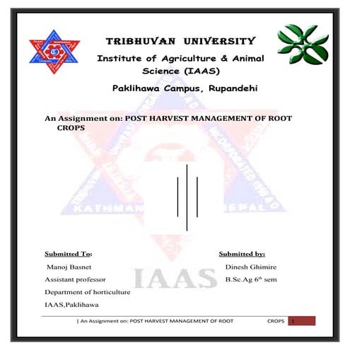 Post harvest management of root crops