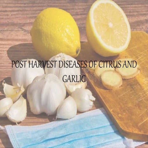 Post harvest diseases of citrus and garlic
