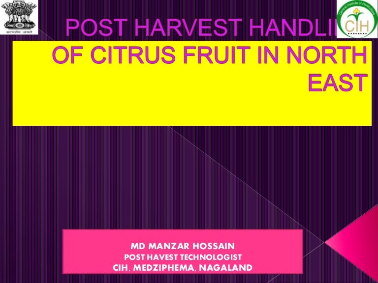Post harvest handling of citrus fruit in north east India