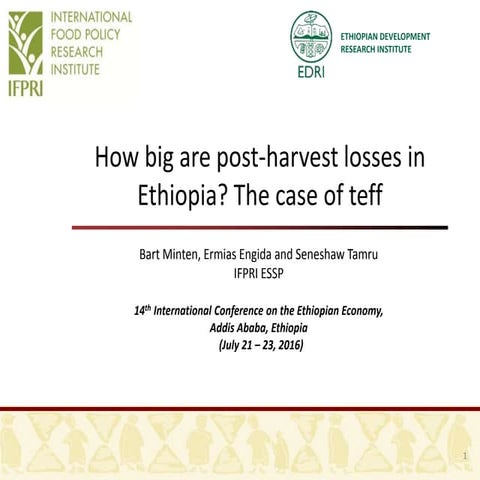 How big are post-harvest losses in Ethiopia? The case of teff