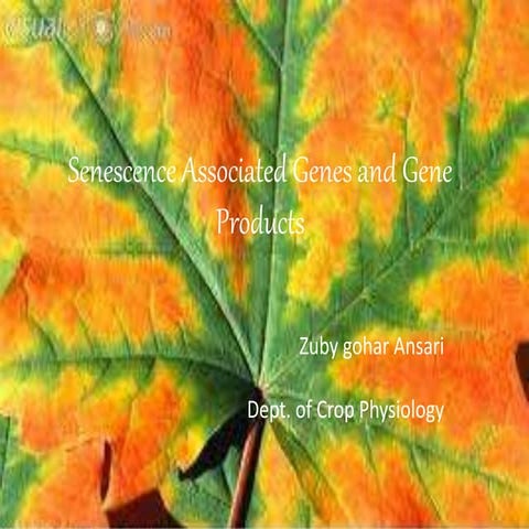 post harvest physiology related to senescence