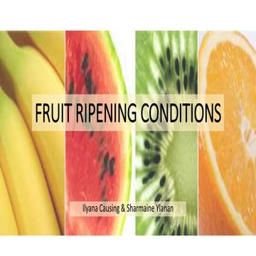 Fruit Ripening Conditions
