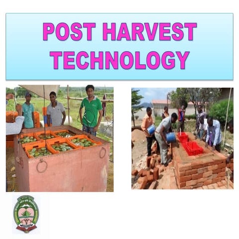 Post Harvest Management of Vegetables Crops | PPTX