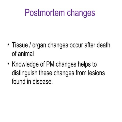Postmortem changes veterinary pathology 3
