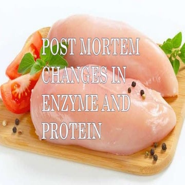 Post mortem changes in enzyme and protein