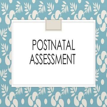 Postnatal Assessment- Evaluation Checklist | PDF