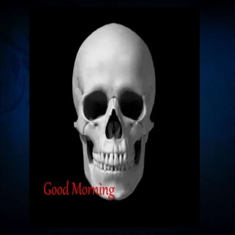 Postnatal growth of mandible