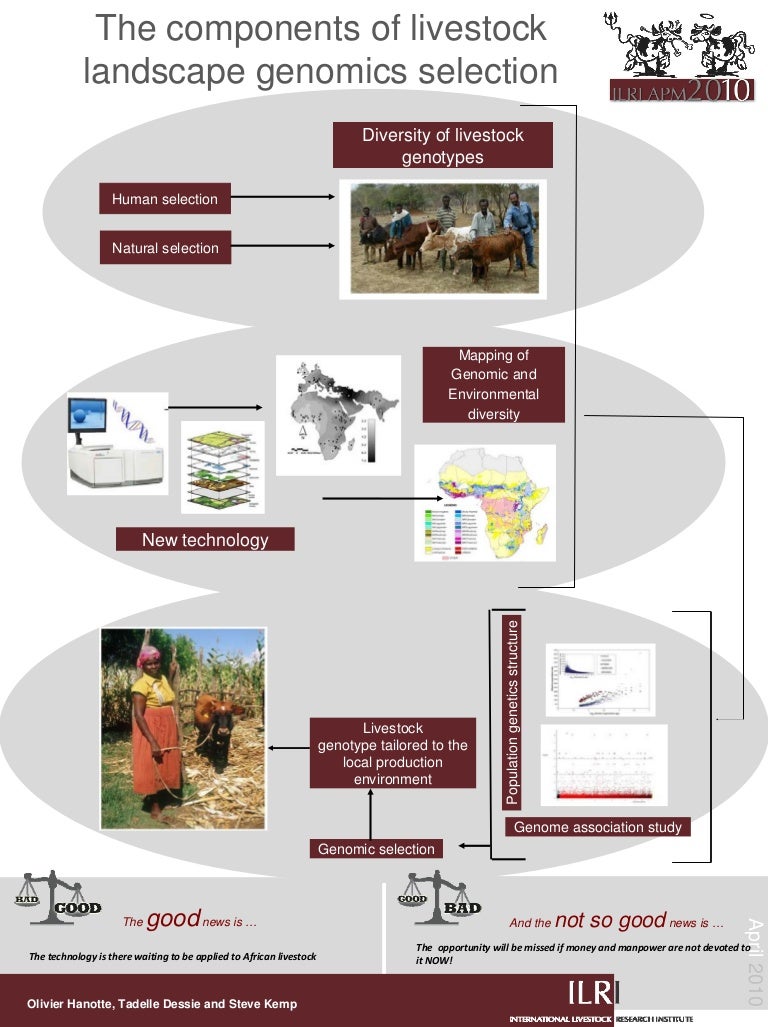 The components of livestock landscape genomics selection