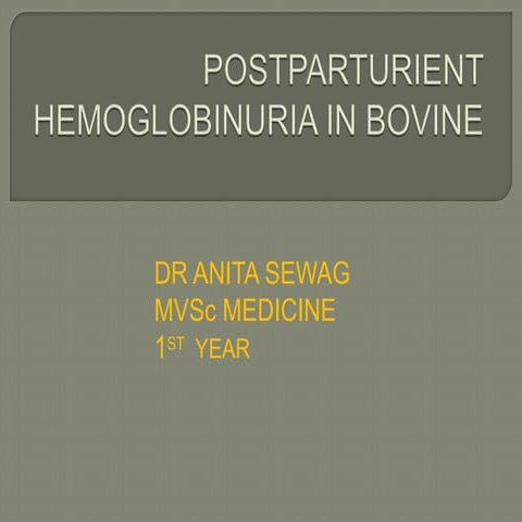 Postparturient hemoglobinuria in bovine