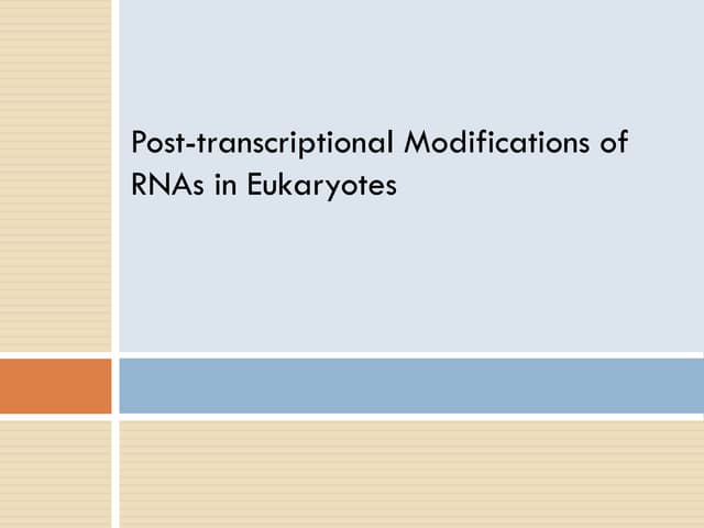 Post translation modification of RNAs in eukaryotes