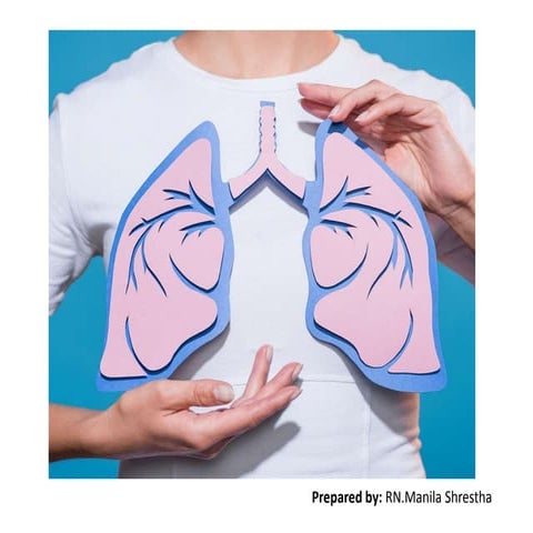 Prone Positioning in the Intubated Adult ICU Patient | PDF