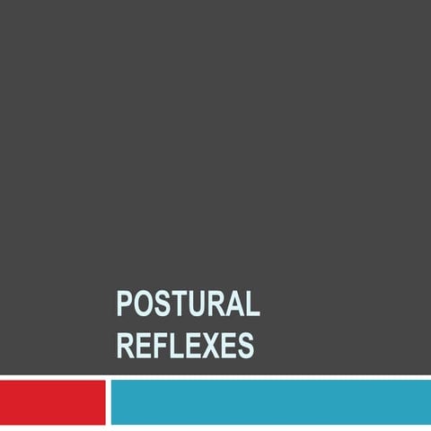 Postural Reflexes Copy Pptx