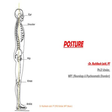 Comprehensive Understanding of Posture: Types, Control, and Pelvic Tilt ...