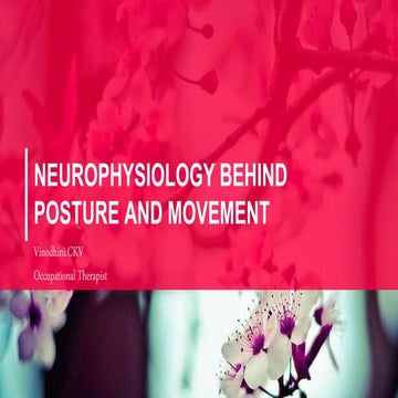 Neurophysiology of Posture and movement