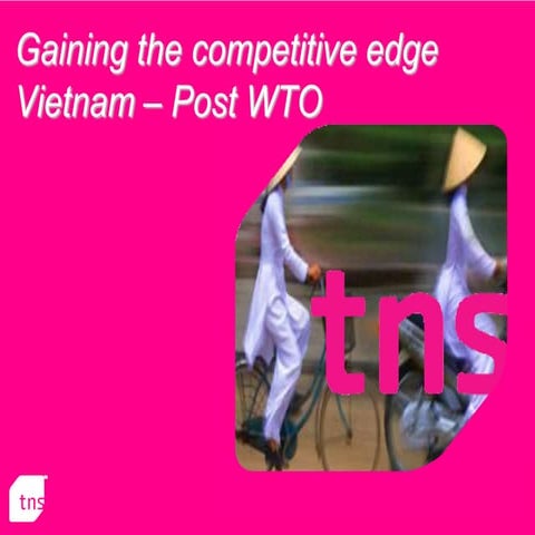 Vietnamese Consumer Post WTO 