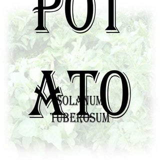 Potato (Agricultural Science)