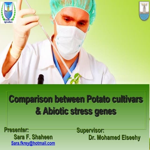 Potato & climate change | PPT