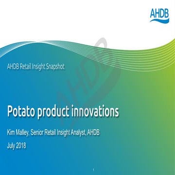 Potato Product Innovations Pdf