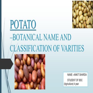 Potato varieties