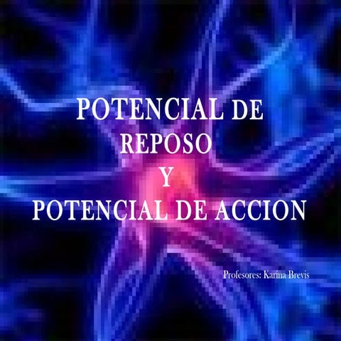 Potencial de reposo y potencial de accion | PPT