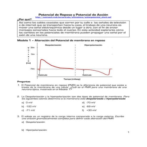 Potencial de membrana en reposo y potencial de acción. Guía para tercero medi...