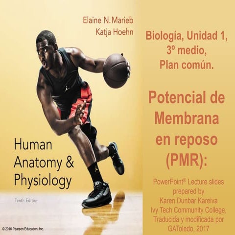 Potencial de membrana en reposo. PowerPoint, para tercero medio, Biología, plan común.