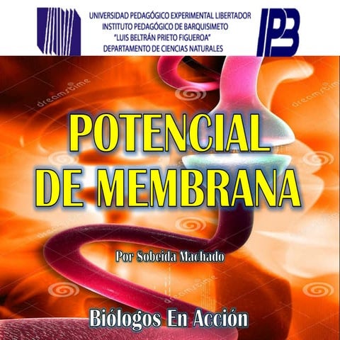 Potencial De Membrana Plasmatica