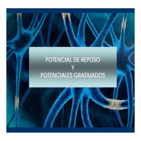 Potenciales de reposo y graduados | PDF