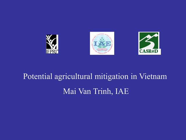 Potential agricultural mitigation in Vietnam