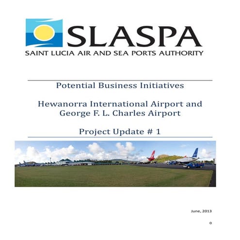 Potential business initiatives  project update #1