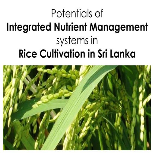 Potentials of  integrated nutrient management systems in  rice cultivation in...