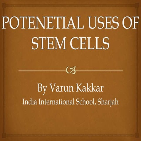 Potential Uses of Stem Cells