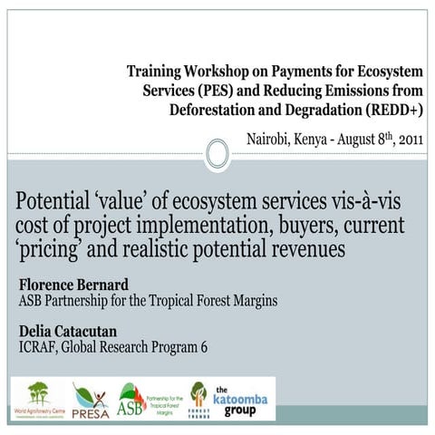 Potential ‘value’ of ecosystem services vis-à-vis cost of project implementation, buyers, current ‘pricing’ and realistic potential revenues 