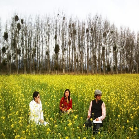 Planos Fotográficos