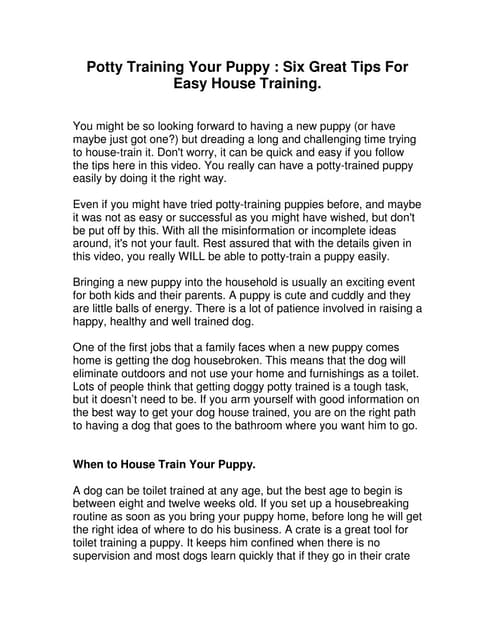 Beautiful view of Puppy Potty Training In Public