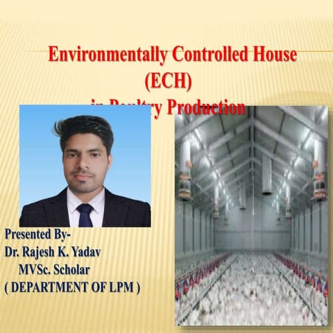 Environmentally Controlled House   in Poultry Production