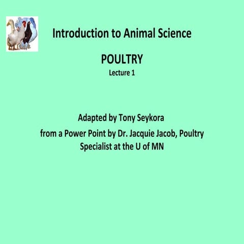 Poultry1 2010